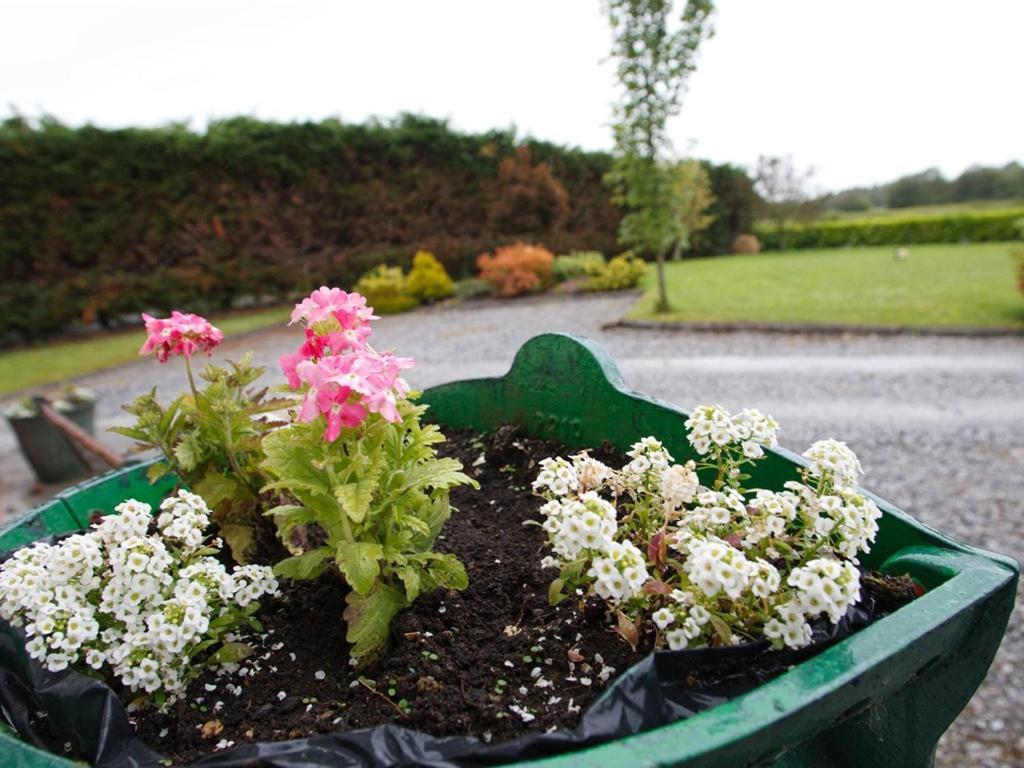 Dun Cromain B&B Banagher Exterior photo